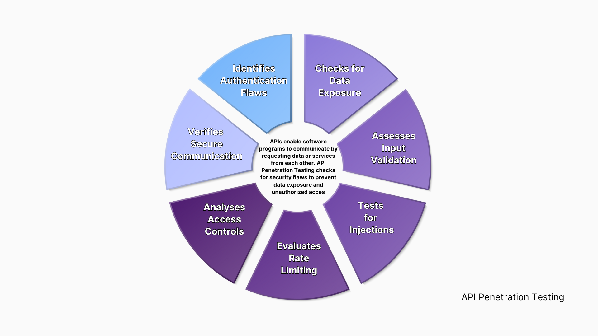 API Penetration Testing